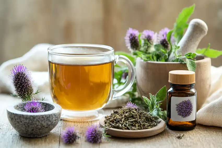 freshly prepared bull thistle tea in a mug